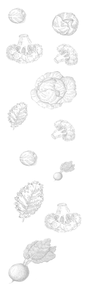 Épure, cuisine et condiments