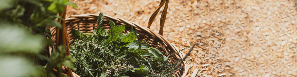 Épure, cuisine et condiments